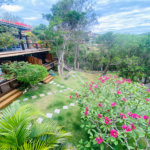Casa à venda com 7 suítes em Albatroz, Armação dos Búzios, RJ