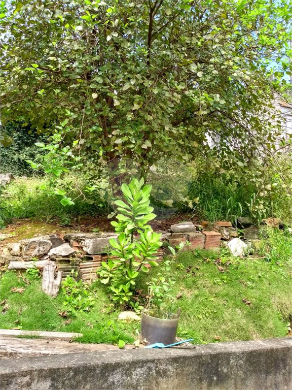Terreno à venda com 1 quarto em Chora Menino, São Paulo, SP