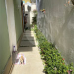 Casa à venda com 3 quartos, sendo 1 suíte, no condomínio Vida Verde 1, Suzano - SP