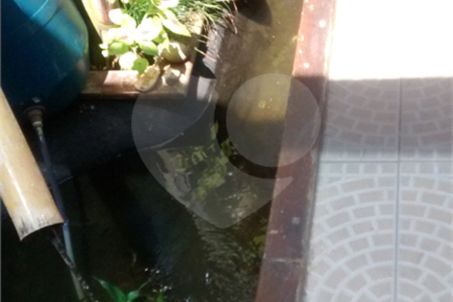 Sobrado à venda com 3 quartos, sendo 1 suíte, em Limão, São Paulo, SP