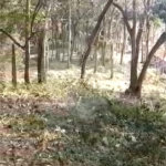 Terreno à venda em Luiz Fagundes, Mairiporã, SP