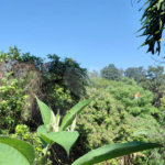 Terreno à venda em Horto Florestal, São Paulo, SP
