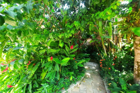Casa à venda, 600 m² por R$ 4.000.000,00 - Acapulco - Guarujá/SP