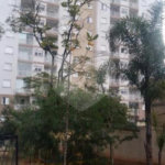 Apartamento à venda com 2 quartos em Mandaqui, São Paulo, SP