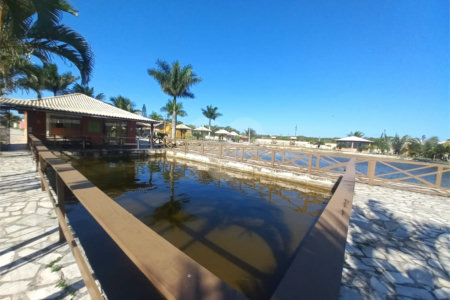 Casa em condomínio à venda com 3 suítes em Golfe, Armação dos Búzios, RJ