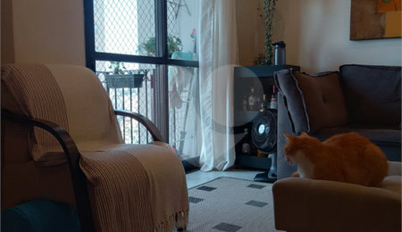 Apartamento à venda com 3 quartos, sendo 1 suíte,  em Mandaqui, São Paulo, SP