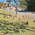 Casa à venda com 3 quartos, sendo 1 suíte, no condomínio Golden Park Residence, Sorocaba - SP