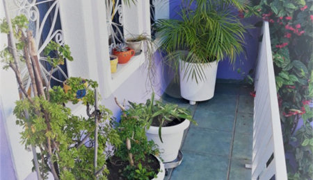 Sobrado à venda com 3 quartos, sendo 1 suíte, em Tucuruvi, São Paulo, SP