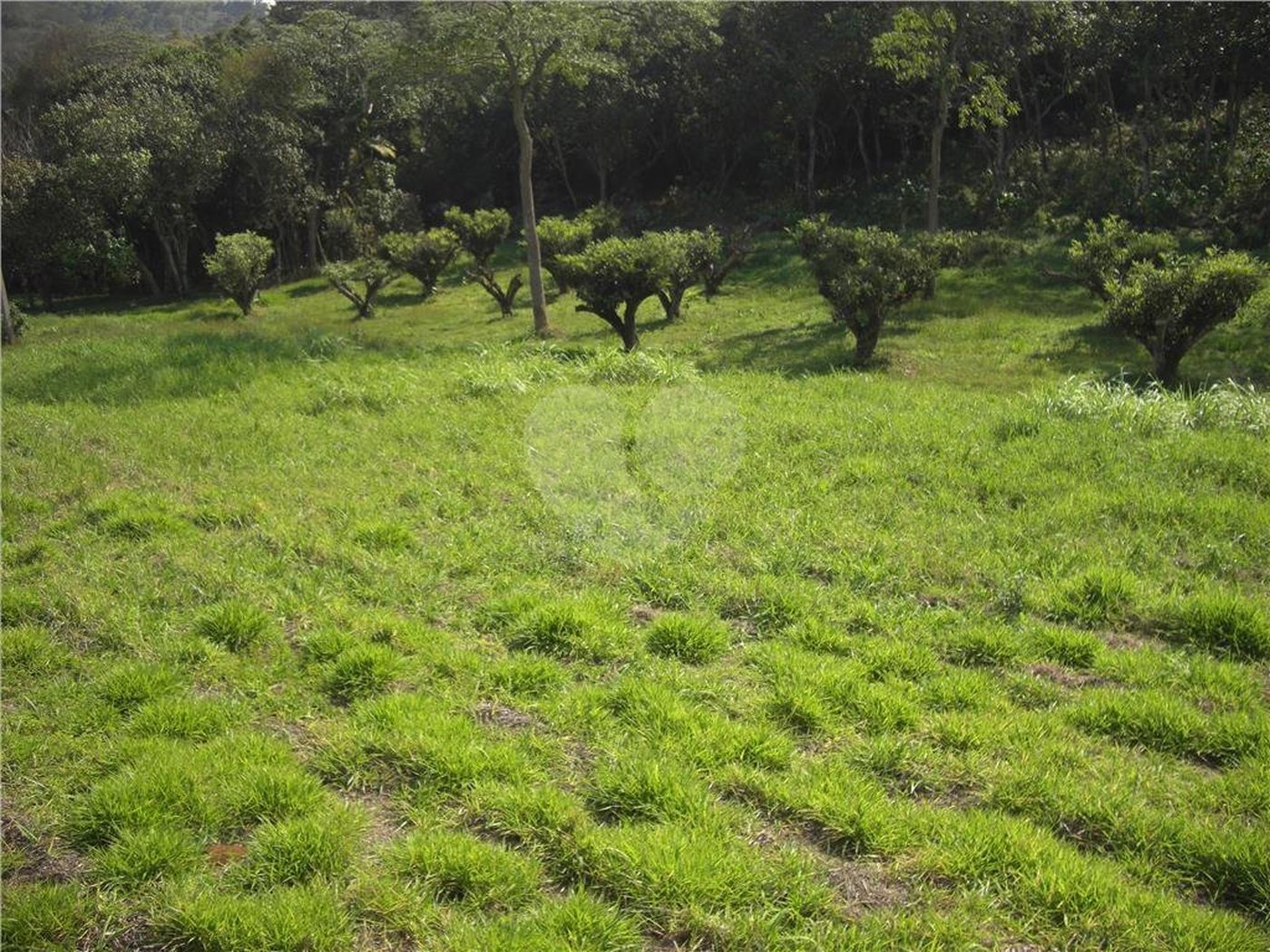 Área de Terra à venda em Porteira Preta, Mogi das Cruzes, SP
