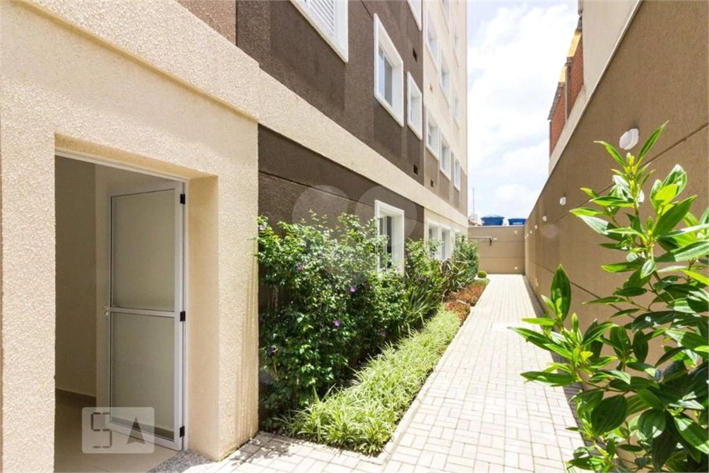 Apartamento para alugar com 2 quartos em Tucuruvi, São Paulo, SP