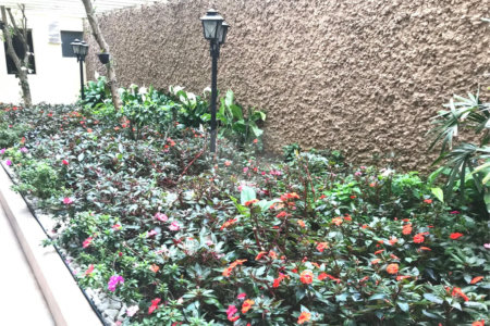 Apartamento à venda com 2 quartos em Santana, São Paulo, SP