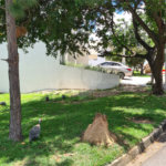 Terreno à venda no condomínio Renaissance, Sorocaba - SP