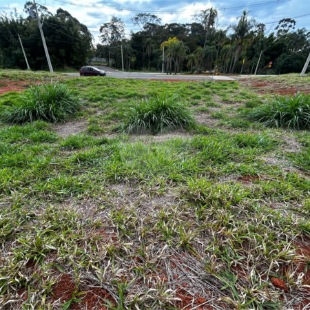 Terreno à venda no condomínio Residencial Quinta das Palmeiras, Itapetininga - SP