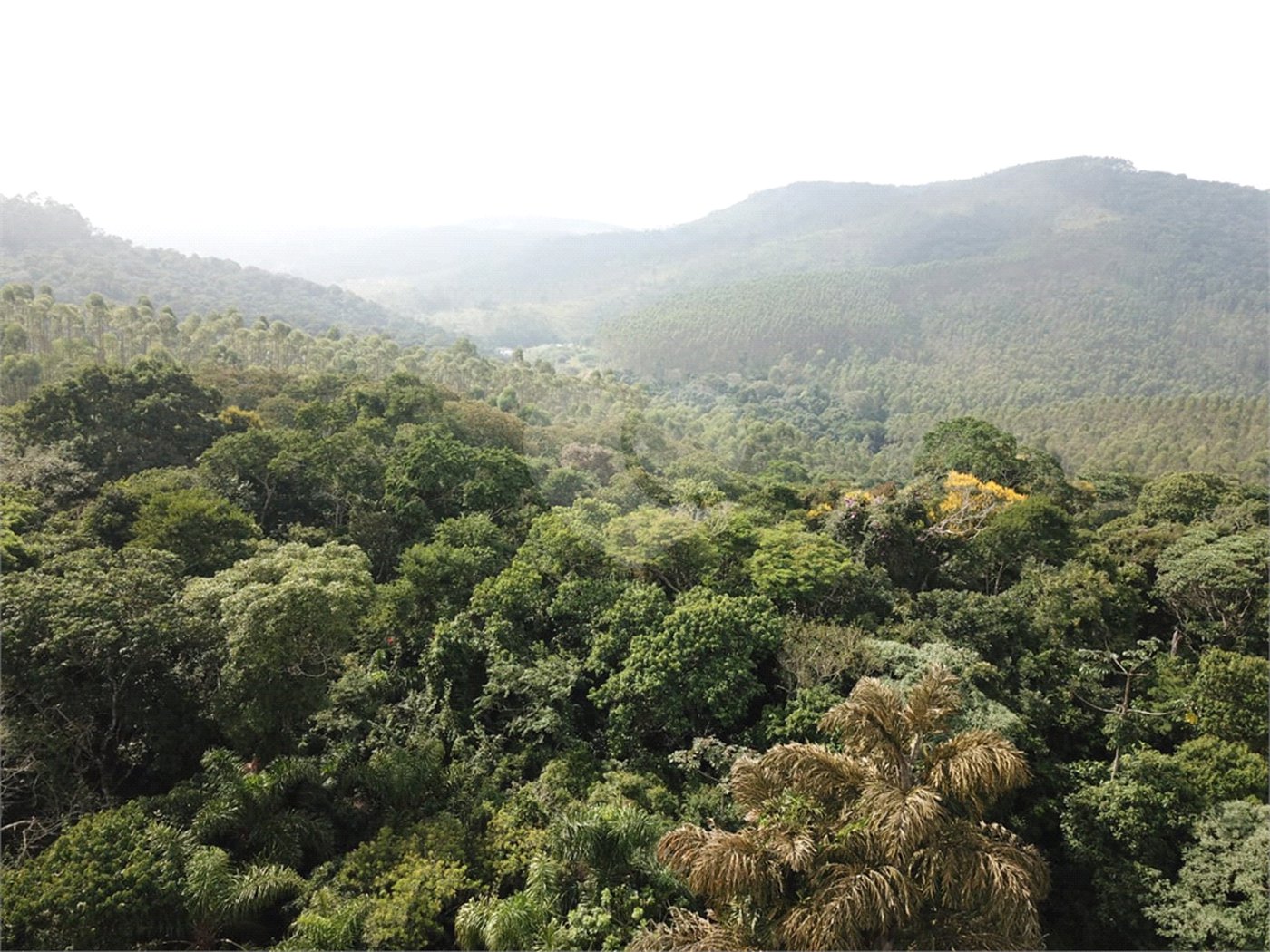 Chácara à venda com 5 quartos em Volta Grande (são João Novo), São Roque, SP