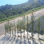 Casa à venda com 3 suítes no condomínio Residencial Alto da Floresta, Bom Jesus dos Perdões - SP