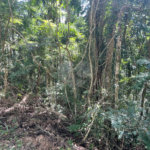 Terreno à venda no condomínio Cantareira, Mairiporã - SP