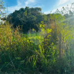 Terreno à venda em Marina, Armação dos Búzios, RJ