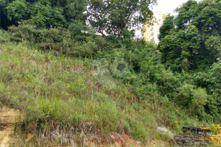 Terreno à venda em Vila Leonor, São Paulo, SP