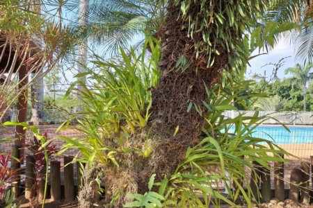 Rancho com 12 dormitórios à venda, 63000 m² por R$ 7.500.000,00 - Condomínio Haras Paineiras - Salto/SP