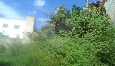 Terreno à venda em Serra da Cantareira, Mairiporã, SP