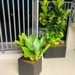 Apartamento à venda em Perdizes, São Paulo, SP