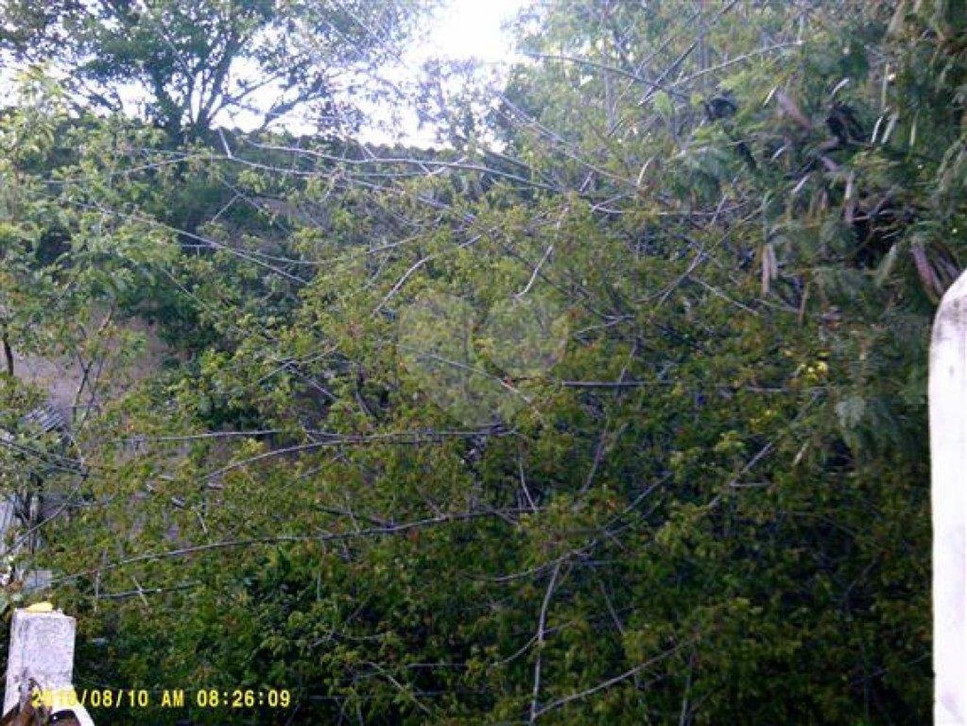 Terreno à venda em Vila Mazzei, São Paulo, SP