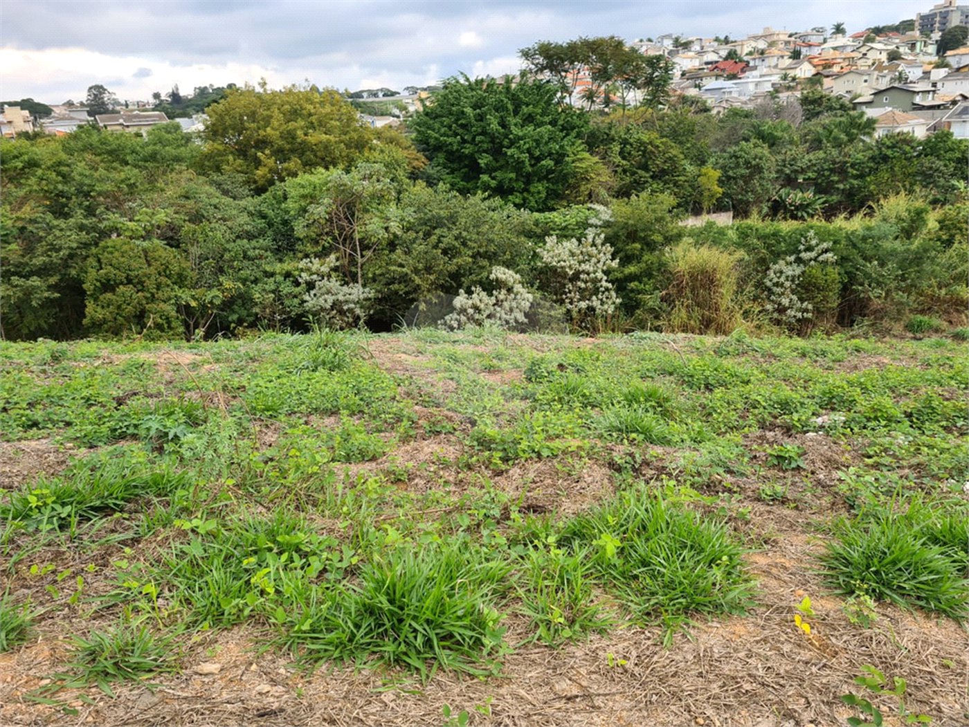 Terreno à venda em Bosque, Vinhedo, SP