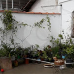 Casa à venda com 3 quartos em Vila do Castelo, São Paulo, SP