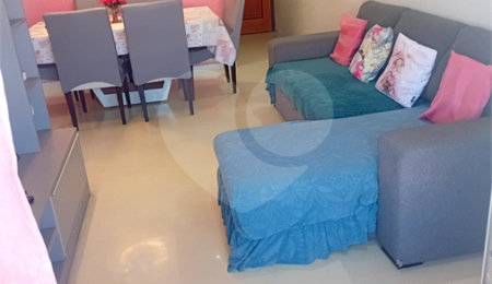 Apartamento à venda com 3 quartos em Vila Nova Cachoeirinha, São Paulo, SP