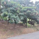 Terreno à venda em Santana, São Paulo, SP