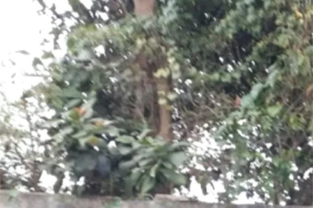Terreno à venda no condomínio Jd Leonor, São Paulo - SP