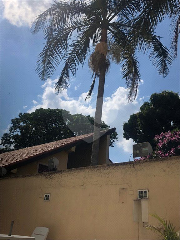 Apartamento para alugar com 3 quartos em Tucuruvi, São Paulo, SP
