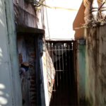 Sobrado à venda com 3 quartos em Vila Renata, Guarulhos, SP