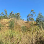 Terreno à venda em Caete (mailasqui), São Roque, SP