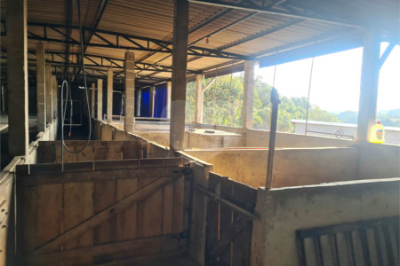 VENDA SÍTIO 48 hectares com estruura para granja, hidroponia e gado