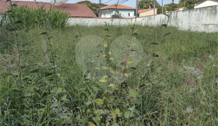 Terreno à venda em Bosque, Vinhedo, SP