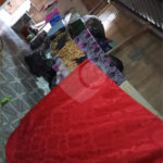 Casa à venda com 3 quartos em Santo Antônio, Duque de Caxias, RJ
