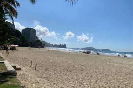 Apartamento Residencial à venda, Vila Alzira, Guarujá - AP1160.