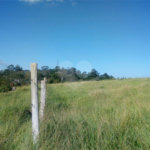 Terreno à venda em Parque Olimpico, Mogi das Cruzes, SP