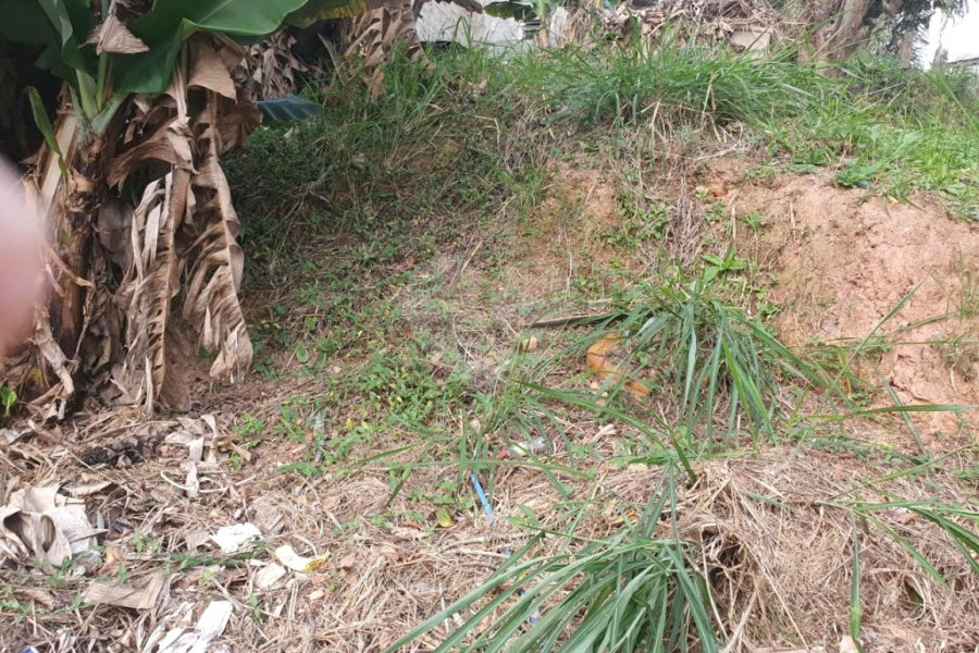 Terreno à venda em Butantã, São Paulo, SP