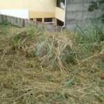 Terreno à venda em Jardim do Trevo, Atibaia, SP