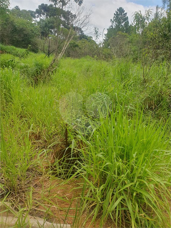 Terreno à venda em Vila Moraes, Mogi das Cruzes, SP