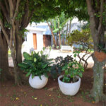 Apartamento à venda com 2 quartos em Chácara Mafalda, São Paulo, SP