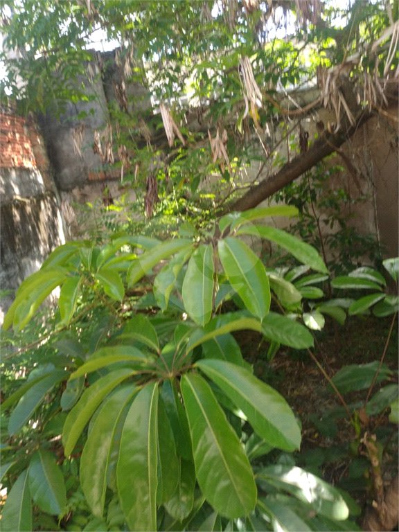 Terreno à venda em Jaçanã, São Paulo, SP