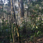 Terreno à venda em Serra da Cantareira, Mairiporã, SP