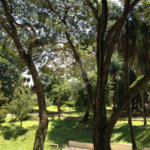 Sobrado à venda com 3 quartos, sendo 1 suíte, em Vila Nova Cachoeirinha, São Paulo, SP