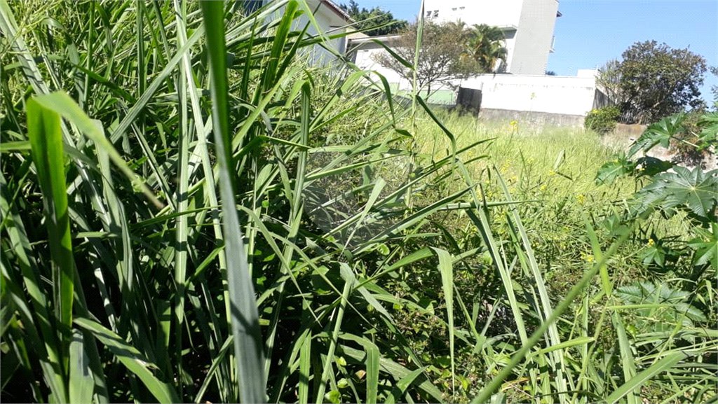 Terreno à venda em Jardim São Bento, São Paulo, SP