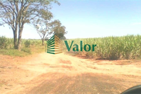 Sítio Estrada São Carlos Ribeirão - próximo São Carlos
