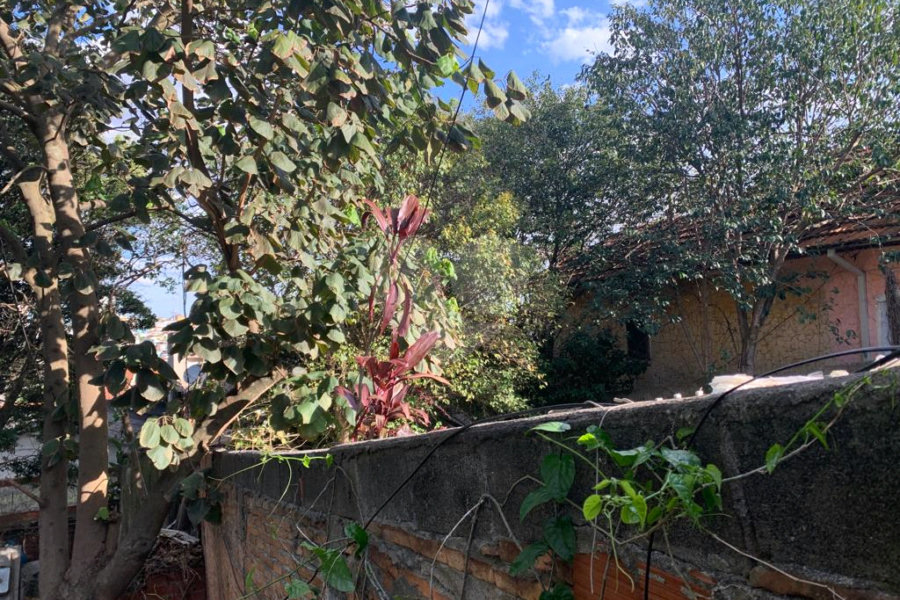 Terreno à venda com 2 quartos em Tucuruvi, São Paulo, SP