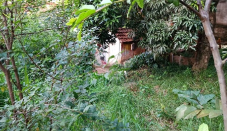Terreno à venda com 1 quarto em Pirituba, São Paulo, SP